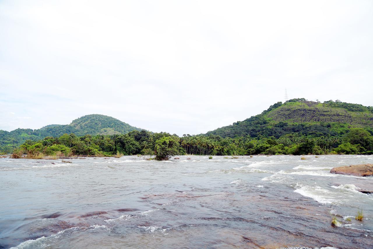 Athirapilly River Resort Athirappilly Kültér fotó